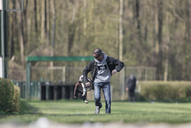 Bo4I8377 33496026370 O