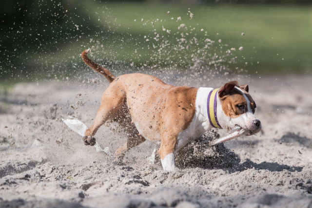 Bo4I8375 33496027080 O