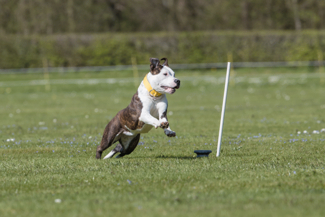 Bo4I8763 33723625632 O