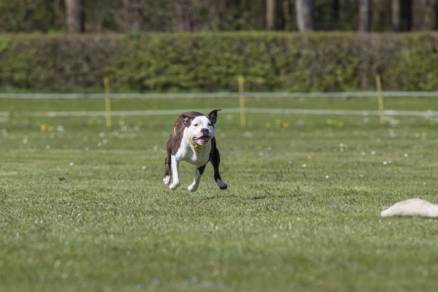 Bo4I8758 33723626142 O