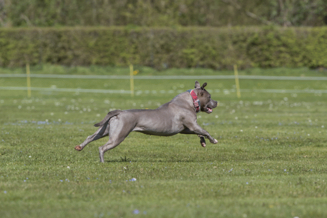 Bo4I8632 33723643742 O