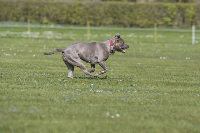 Bo4I8630 33723644432 O