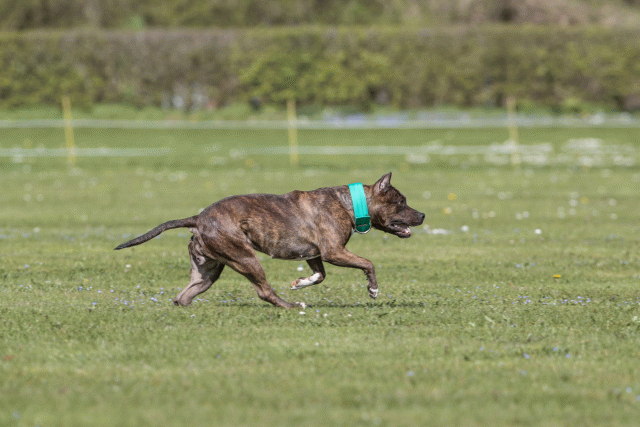 Bo4I8606 33723648202 O