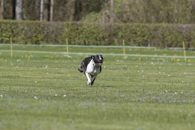 Bo4I8479 33724014722 O