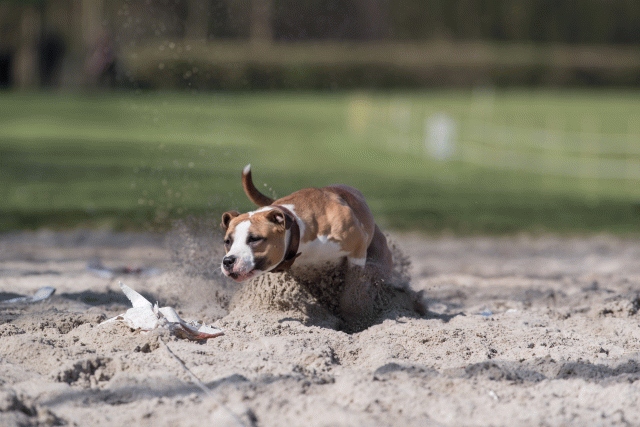 Bo4I8364 33724038282 O