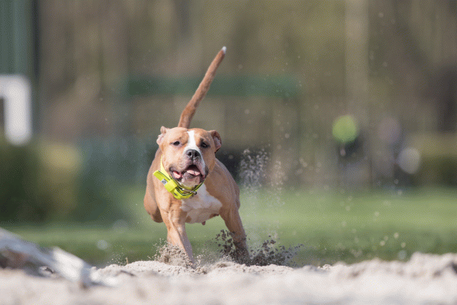 Bo4I8354 33724039012 O