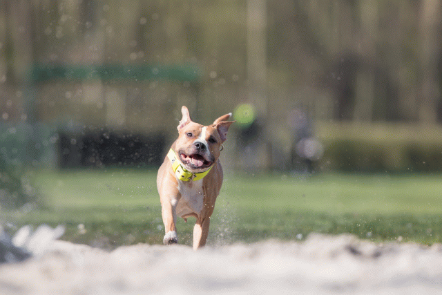 Bo4I8352 33724039302 O