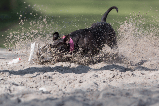 Bo4I8340 33724041012 O