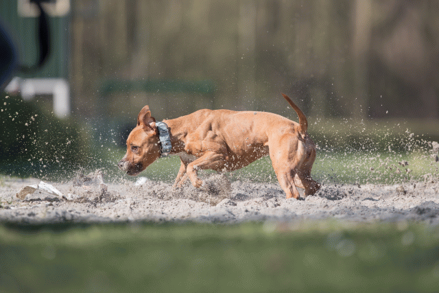 Bo4I8335 33724041802 O