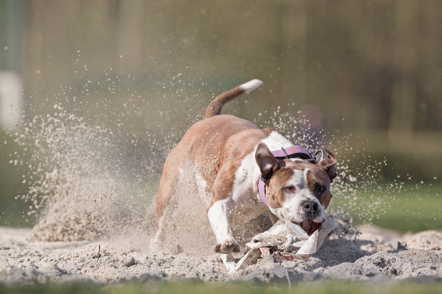 Bo4I8318 Edit 33724044592 O