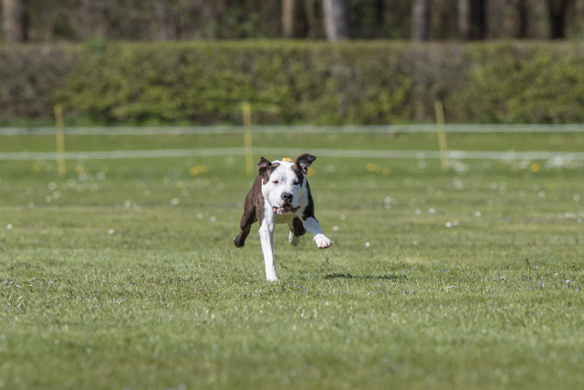 Bo4I8759 33751012201 O