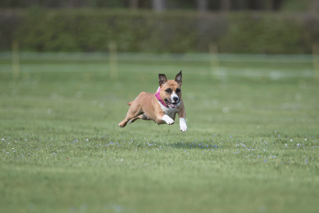 Bo4I8609 33751020201 O