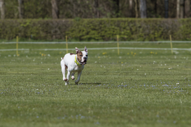 Bo4I8573 33751026791 O