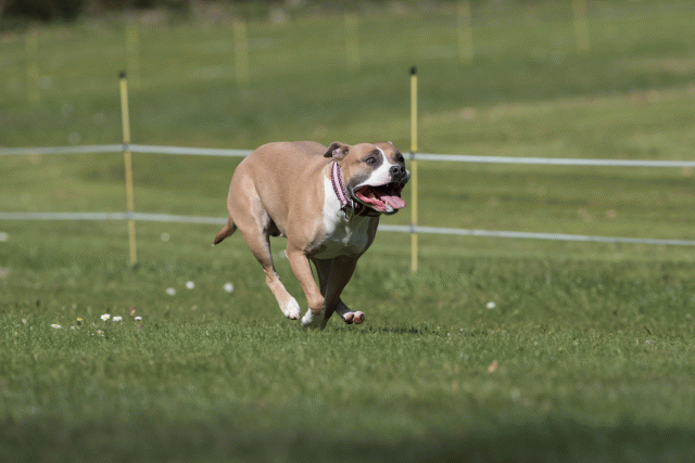 Bo4I8471 33751413481 O