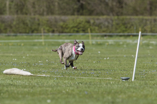 Bo4I8796 33839353536 O