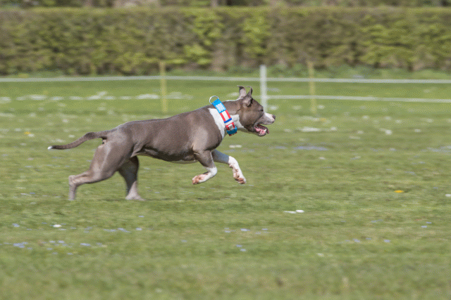 Bo4I8732 33839366646 O