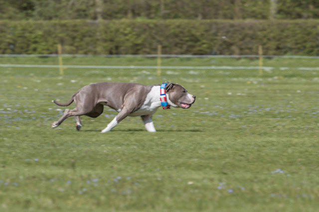 Bo4I8728 33839367886 O