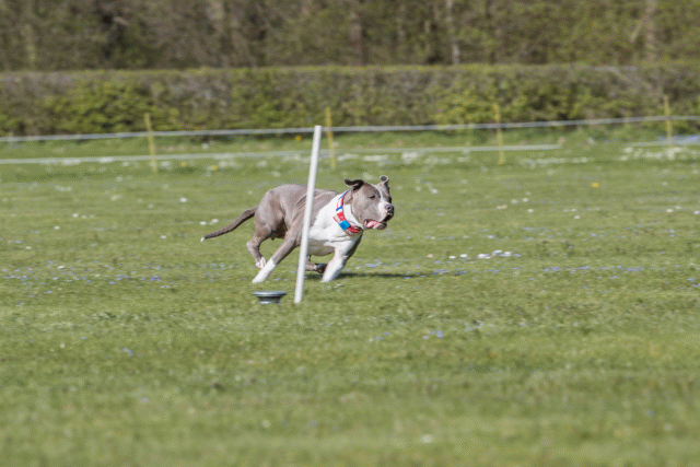 Bo4I8724 33839369576 O