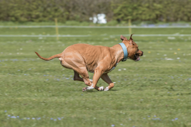 Bo4I8678 33839376566 O