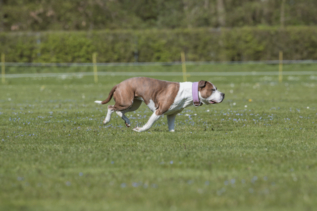 Bo4I8649 33839383476 O