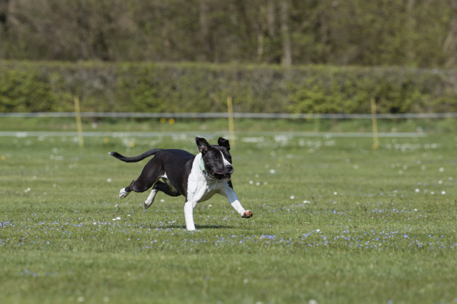 Bo4I8480 33839776966 O