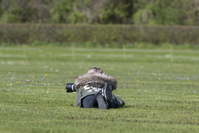 Bo4I8477 33839777246 O