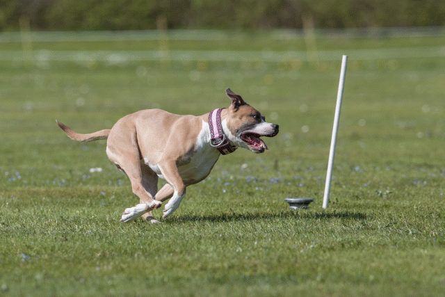 Bo4I8834 33880544475 O