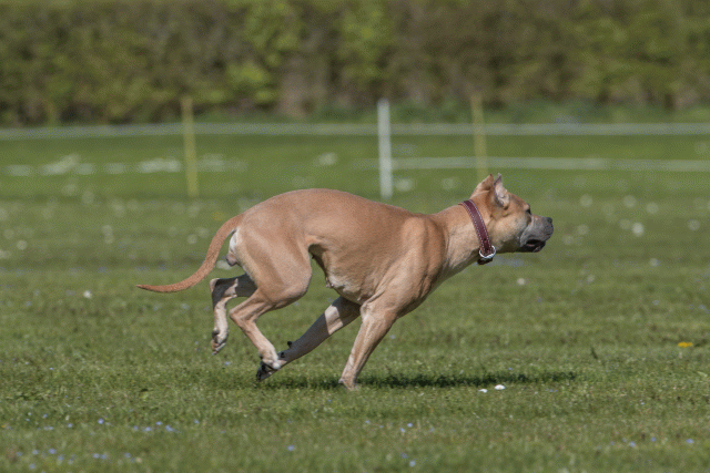 Bo4I8792 33880549485 O