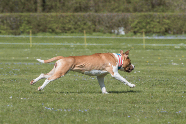 Bo4I8700 33880557465 O