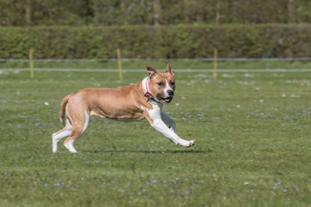 Bo4I8696 33880557715 O