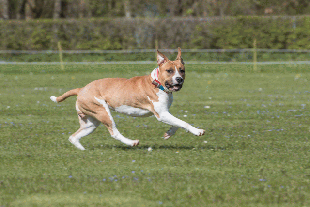 Bo4I8694 33880557935 O