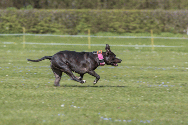 Bo4I8690 33880558245 O