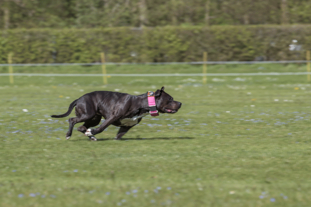 Bo4I8688 33880558465 O