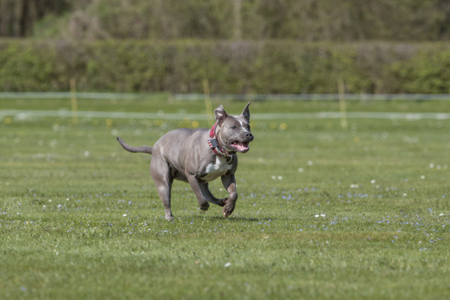 Bo4I8623 33880563935 O