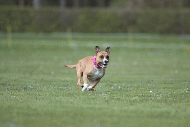 Bo4I8610 33880565215 O