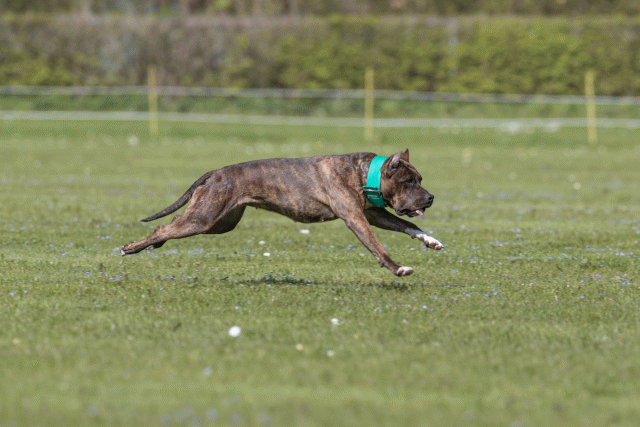 Bo4I8602 33880566925 O