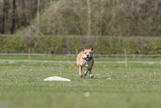 Bo4I8592 33880568405 O