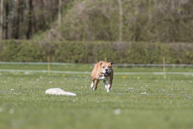 Bo4I8591 33880568965 O