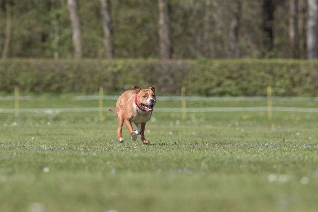 Bo4I8583 33880569525 O