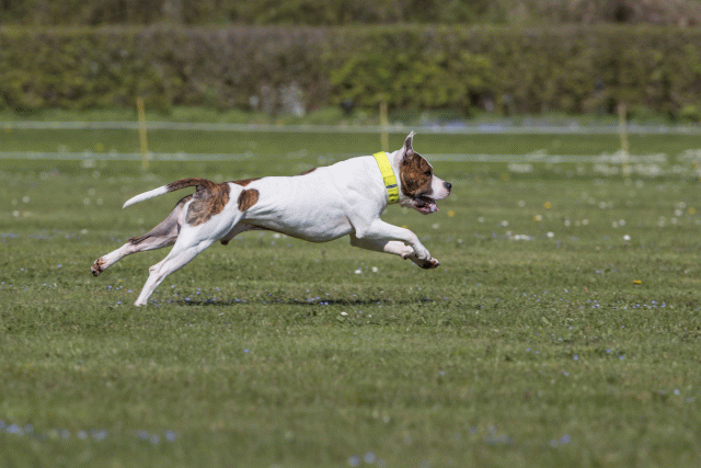 Bo4I8580 33880569745 O