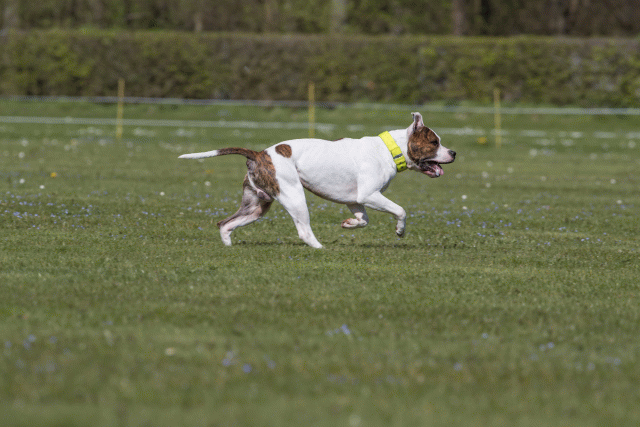 Bo4I8578 33880570265 O