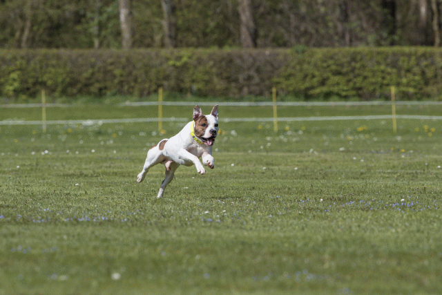 Bo4I8572 33880571175 O