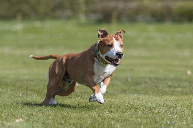 Bo4I8524 33880578475 O