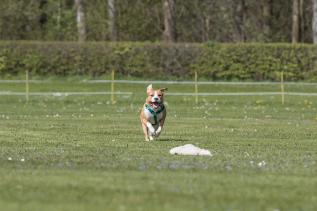 Bo4I8527 33880578515 O