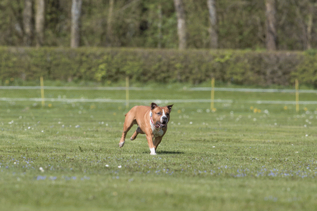 Bo4I8495 33880582345 O