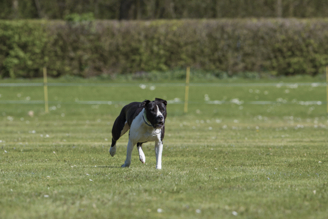 Bo4I8488 33880582835 O