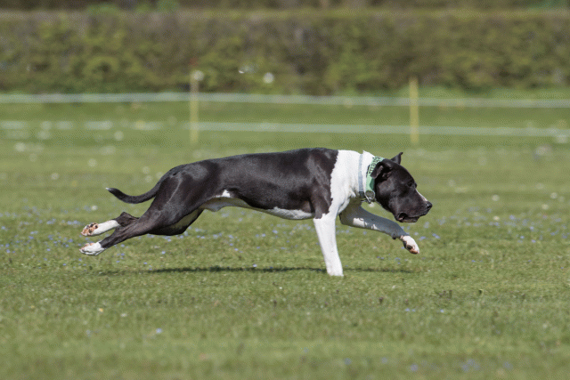 Bo4I8484 33880583205 O