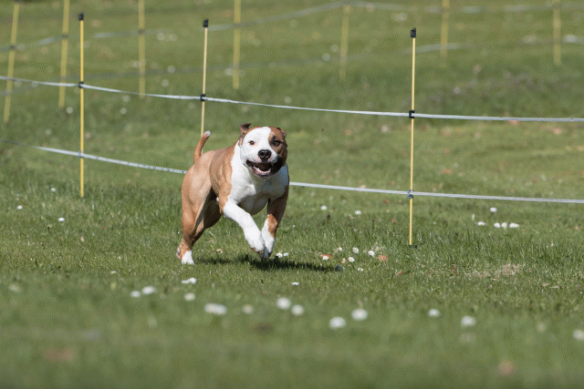 Bo4I8395 33880979865 O