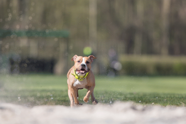 Bo4I8351 33880985245 O