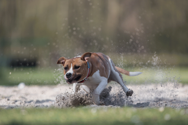 Bo4I8349 33880985755 O